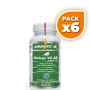 Pack 6x GINKGO-VIT AB COMPLEX 6.000 90 TABLETAS AIRBIOTIC