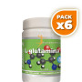 Pack 6x L-GLUTAMINA AB 300 GR AIRBIOTC