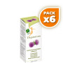 Pack 6x DEPURATUM 200Ml. 100% NATURAL