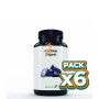 Pack 6x CARBON DIGEST 815 MG 60 PERLAS EBERS
