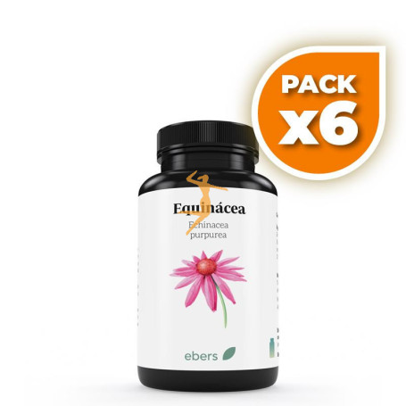 Pack 6x EQUINACEA 500 MG 60 COMP EBERS