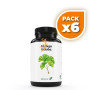 Pack 6x GINKGO B. 500 MG 60 COMP EBERS