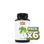 Pack 6x GINKGO B. 500 MG 60 COMP EBERS