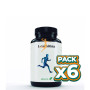 Pack 6x L-CARNITINA 500 MG 60 CÁPS EBERS