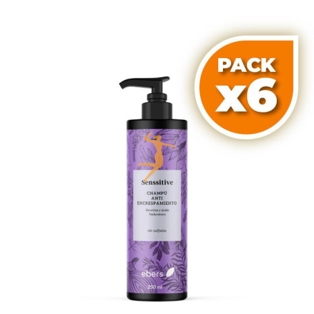 Pack 6x CHAMPÚ RECONSTITUYENTE ANTIENCRESPAMIENTO 250 ML EBERS