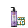 Pack 6x CHAMPÚ RECONSTITUYENTE ANTIENCRESPAMIENTO 250 ML EBERS