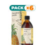 Pack 6x PUREDREN JARABE 250 ML EBERS