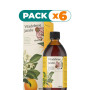 Pack 6x VITADEFENSE JARABE 250 ML EBERS