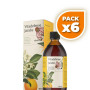 Pack 6x VITADEFENSE JARABE 250 ML EBERS