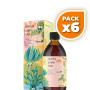 Pack 6x APETIVE JARABE PETIT 250 ML EBERS