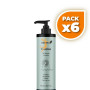 Pack 6x VENITÓN 100ML EBERS