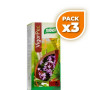 Pack 3x JARABE VIGOR-PEC 240Ml. SANTIVERI