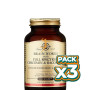 Pack 3x BRAIN WORKS 60 CÁPSULAS VEGETALES SOLGAR