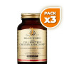 Pack 3x BRAIN WORKS 60 CÁPSULAS VEGETALES SOLGAR