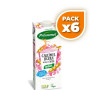 Pack 6x BEBIDA SOJA CALCIMEL LIGERA 1Lt. SANTIVERI