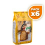 Pack 6x PAN DEXTRIN CON LINO 300Gr. SANTIVERI