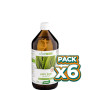 Pack 6x ALOE VERA JUGO 1Lt. SANTIVERI