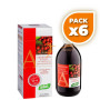 Pack 6x ARÁNDANO ROJO CONCENTRADO 490Ml. SANTIVERI