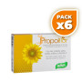 Pack 6x PROPOLFLOR 48 COMPRIMIDOS SANTIVERI
