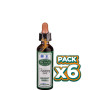 Pack 6x BACH RECOVERY REMEDY 10Ml. SANTIVERI