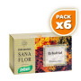 Pack 6x ERBAFRIAL 20 FILTROS SANTIVERI