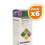 Pack 6x BILIXIR JARABE 240Ml. SANTIVERI