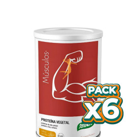 Pack 6x DYNAMIC PROTEÍNA VEGETAL VAINILLA 455G SANTIVERI