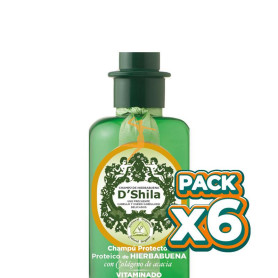Pack 6x CHAMPÚ PROTEICO DE HIERBABUENA 300Ml. SHILA