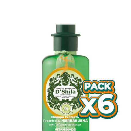 Pack 6x CHAMPÚ PROTEICO DE HIERBABUENA 300Ml. SHILA