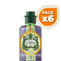 Pack 6x CHAMPÚ PROTEICO DE RETAMA CON VID ROJA 300Ml. SHILA