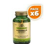 Pack 6x ASTRAGALUS EXTRACTO DE RAÍZ 60 CÁPSULAS VEGETALES SOLGAR