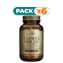 Pack 6x L-LISINA 1.000 MG 50 CAPSULAS SOLGAR