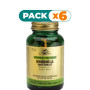 Pack 6x RODIOLA EXTRACTO 60 CÁPSULAS SOLGAR