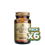 Pack 6x SELENIO EN LEVADURA 200Mcg. 50 CÁPSULAS SOLGAR