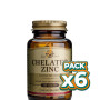 Pack 6x ZINC QUELADO 100 CÁPSULAS SOLGAR
