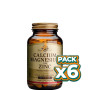 Pack 6x CALCIO-MAGNESIO PLUS ZINC 250 CÁPSULAS SOLGAR
