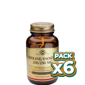 Pack 6x COLINA / INOSITOL 250 50 CAPSULAS VEGETALES SOLGAR