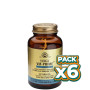 Pack 6x FORMULA VM PRIME 60 CÁPSULAS SOLGAR