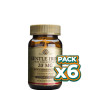 Pack 6x HIERRO GENTLE 180 CÁPSULAS VEGETALES SOLGAR