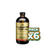 Pack 6x L-CARNITINA LIQUIDA SOLGAR