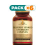 Pack 6x BILBERRY GINKGO EYEBRIGHT COMPLEX 60 CÁPSULAS SOLGAR
