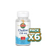 Pack 6x CHOLINE 100 COMPRIMIDOS KAL