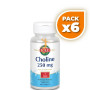 Pack 6x CHOLINE 100 COMPRIMIDOS KAL