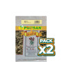 Pack 2x TÉ VERDE 50Gr. PINISAN