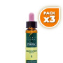 Pack 3x ELIXIR FLORAL 5 CERATOSTIGMA 10Ml. PLANTIS