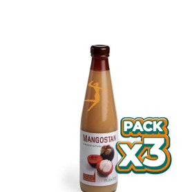 Pack 3x MANGOSTAN 500Ml. PLANTIS