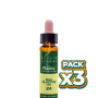 Pack 3x ELIXIR FLORAL 24 PINE 10Ml. PLANTIS