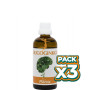 Pack 3x OLIGOGINKGO 100Ml. PLANTIS