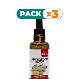 Pack 3x EXTRACTO DE JENGIBRE ECO 50ML PLANTIS