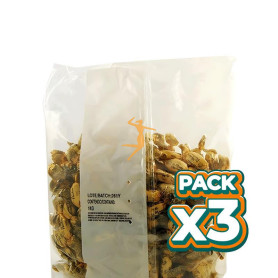 Pack 3x CARAMELOS DE MIEL 1KG MAESE HERBARIO